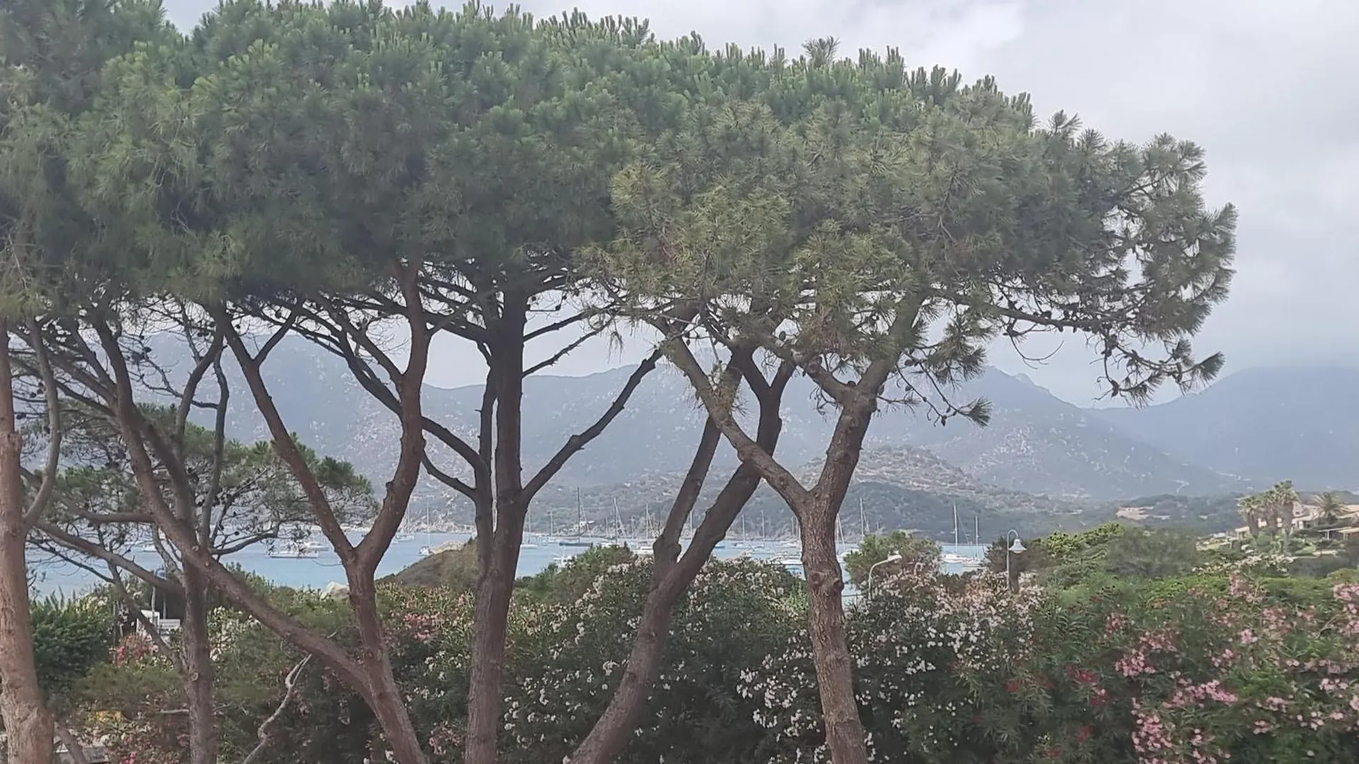 Villagi Notteri Villa
